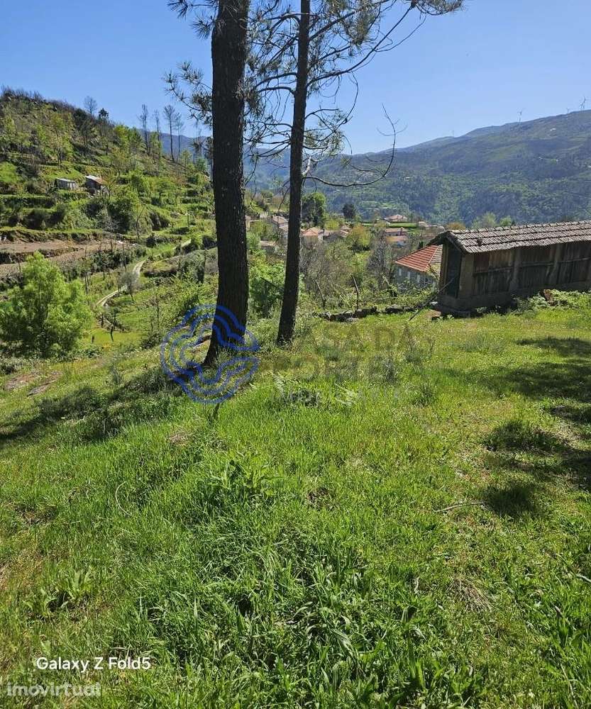 TERRENO CINFÃES - Grande imagem: 3/37