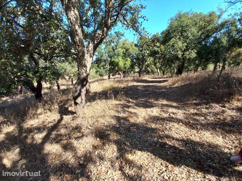 Terreno em são Francisco da Serra - Grande imagem: 3/8