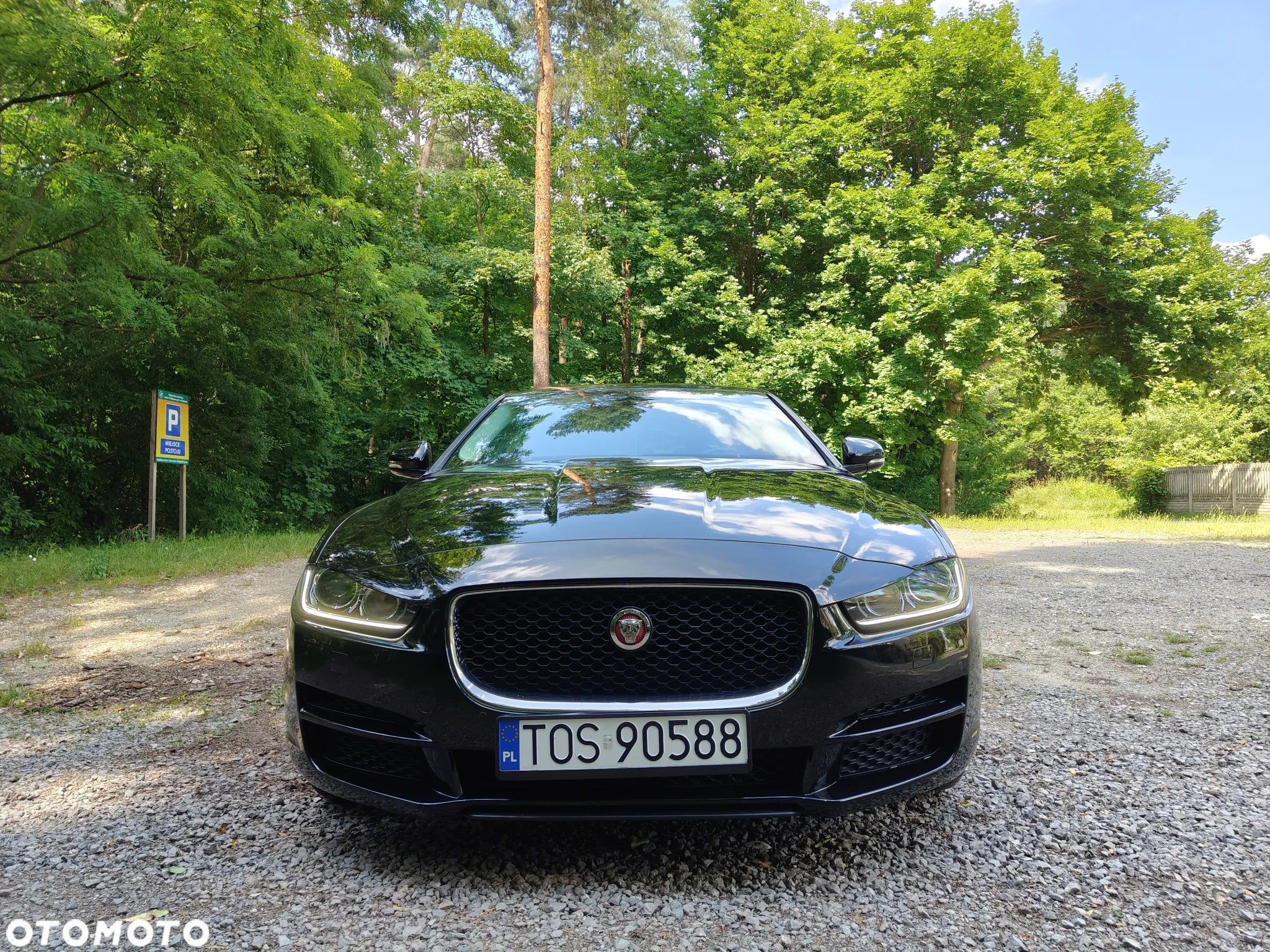 Jaguar XE 2.0 D AWD Portfolio - 31