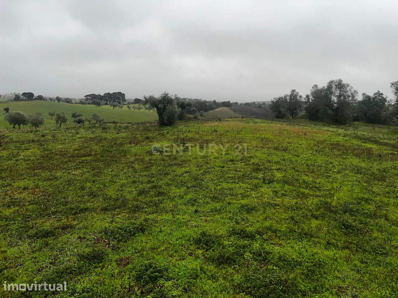 Terreno com 4.920 m² – Fonte da Pedra | Santarém - Grande imagem: 2/3
