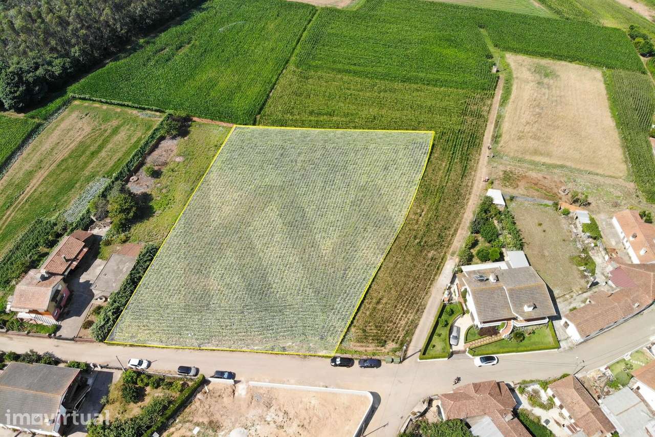 Terreno Estratégico Próximo da A1 e A29 - Grande imagem: 2/23