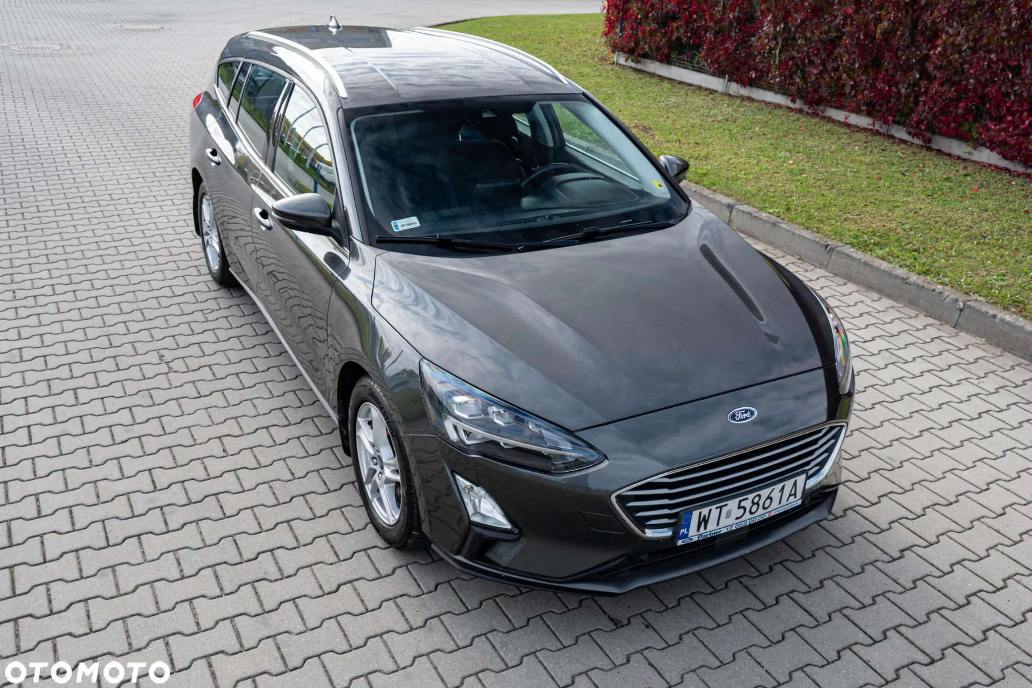 Ford Focus 1.5 EcoBlue SCR Trend - 9