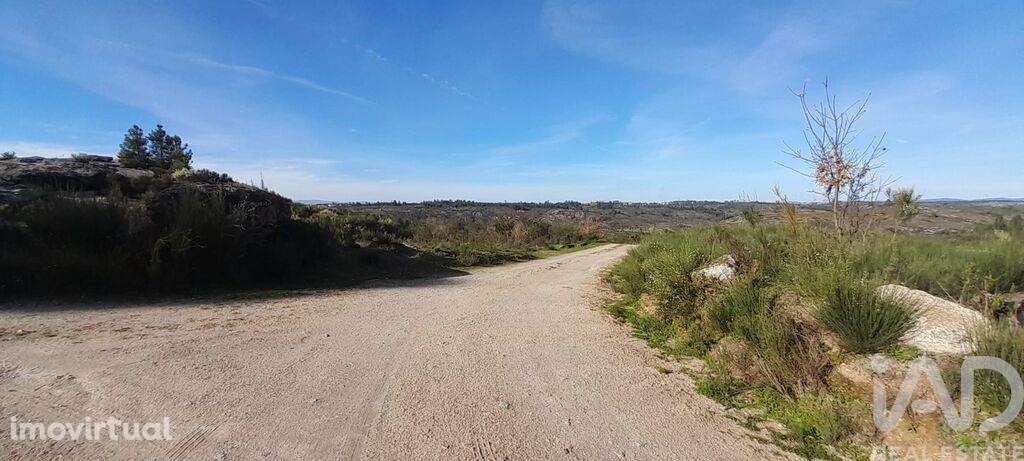 Terreno em Oliveira do Hospital e São Paio de Gramaços de 24500,00 m2 - Grande imagem: 2/8