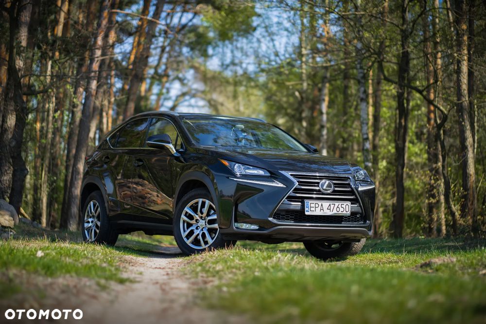 Lexus NX 300 Elegance 2WD - 21