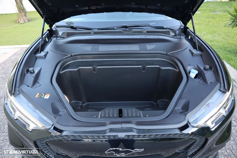 Ford Mustang Mach-E Standard - 12