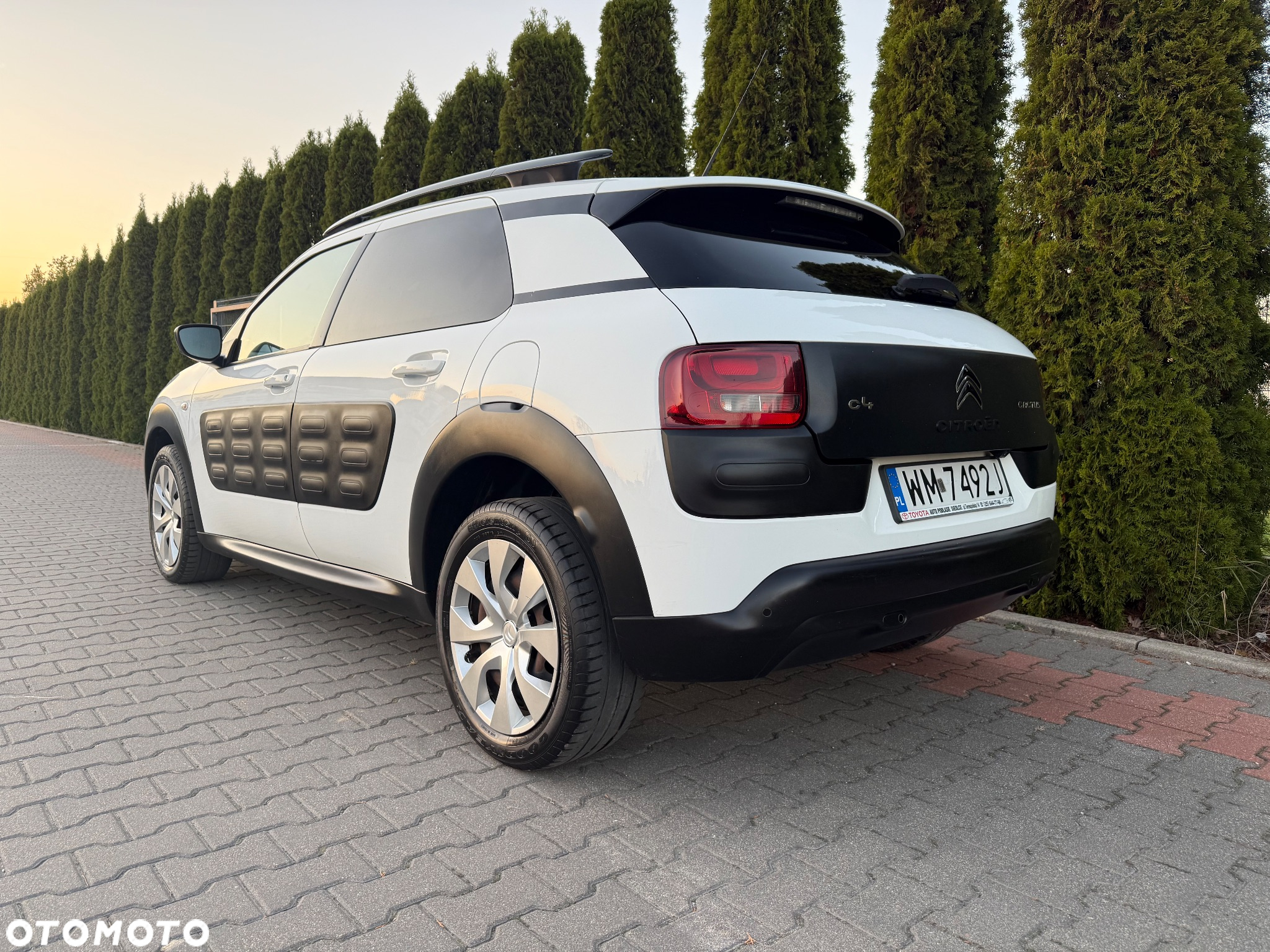 Citroën C4 Cactus 1.2 PureTech MoreLife - 8