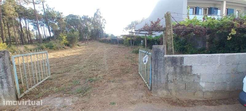 Terreno de construção 1600m2 - Grande imagem: 3/4