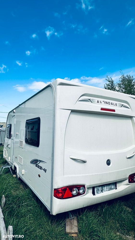 Bailey Avondale - 13