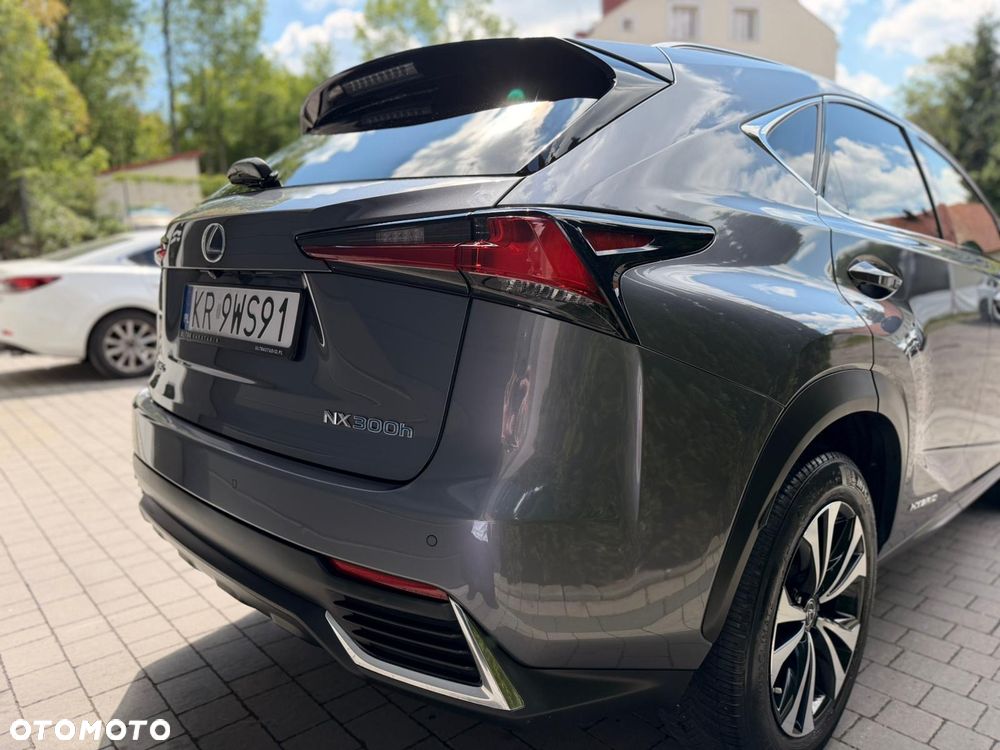 Lexus NX - 10