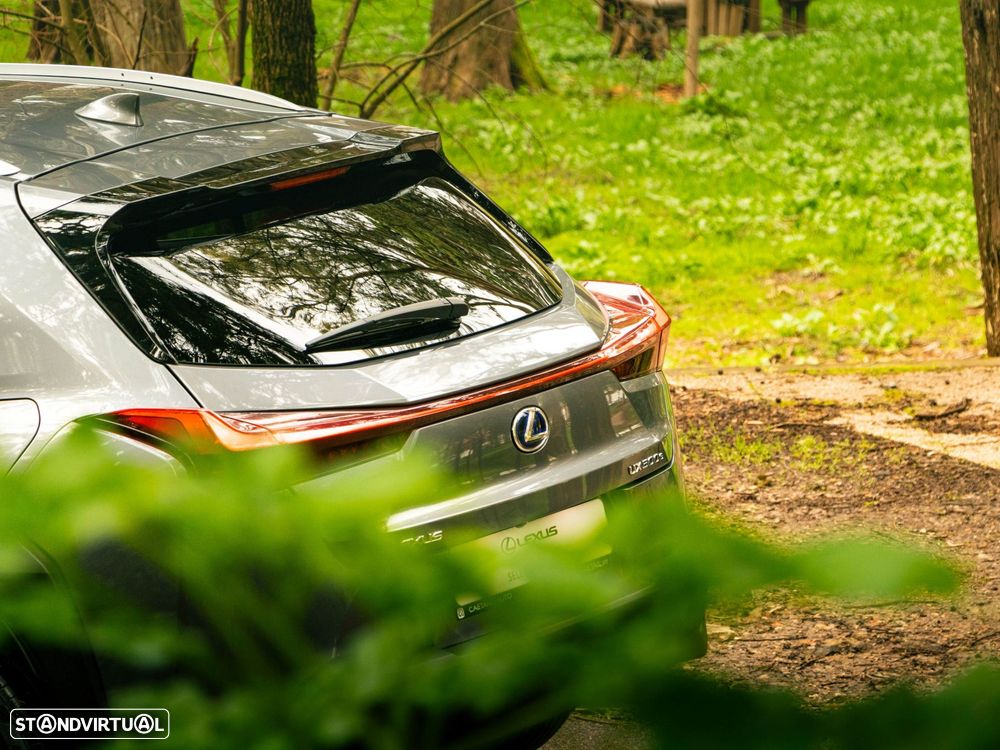 Lexus UX 300e Premium+TAE - 19