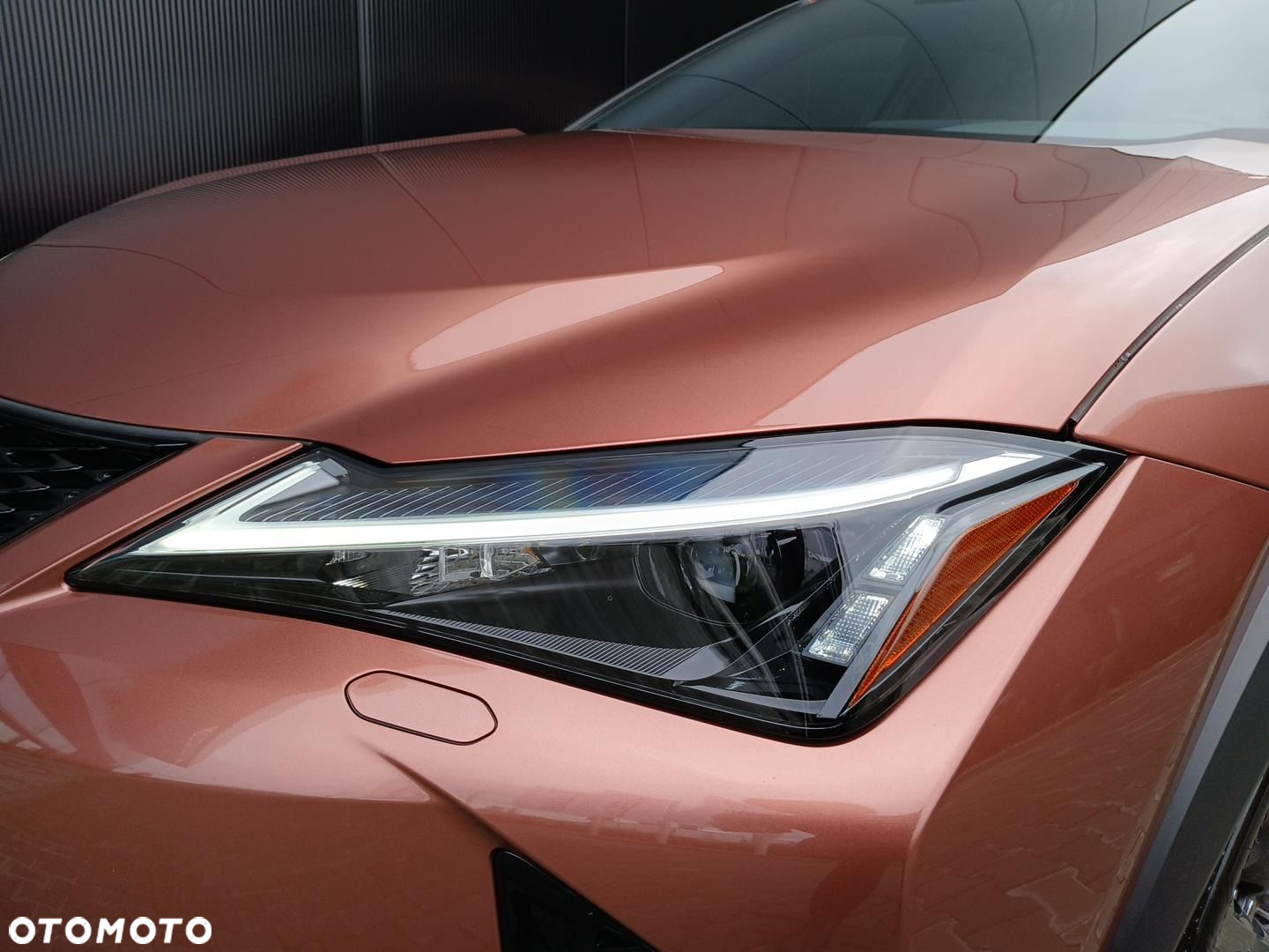 Lexus UX 300h F Sport Design - 27