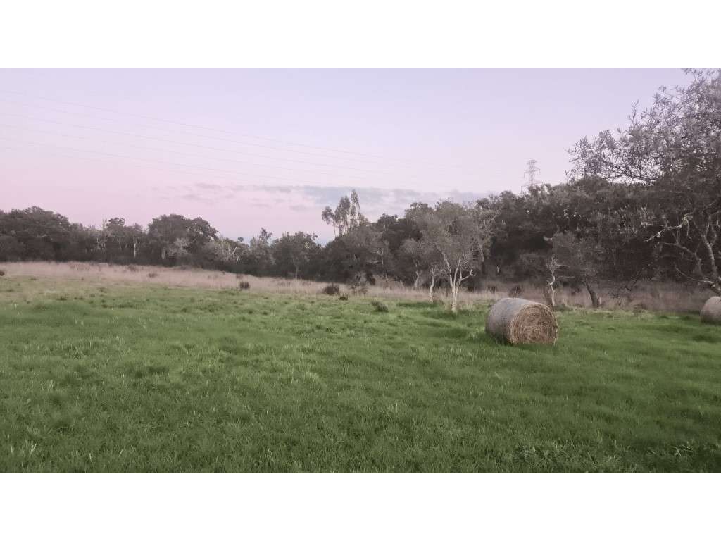 QUINTA (54.409m2) - Grande imagem: 5/14