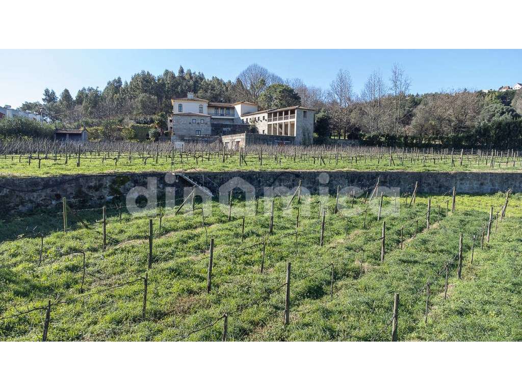 Fantástica Quinta em Famalicão - Grande imagem: 5/21