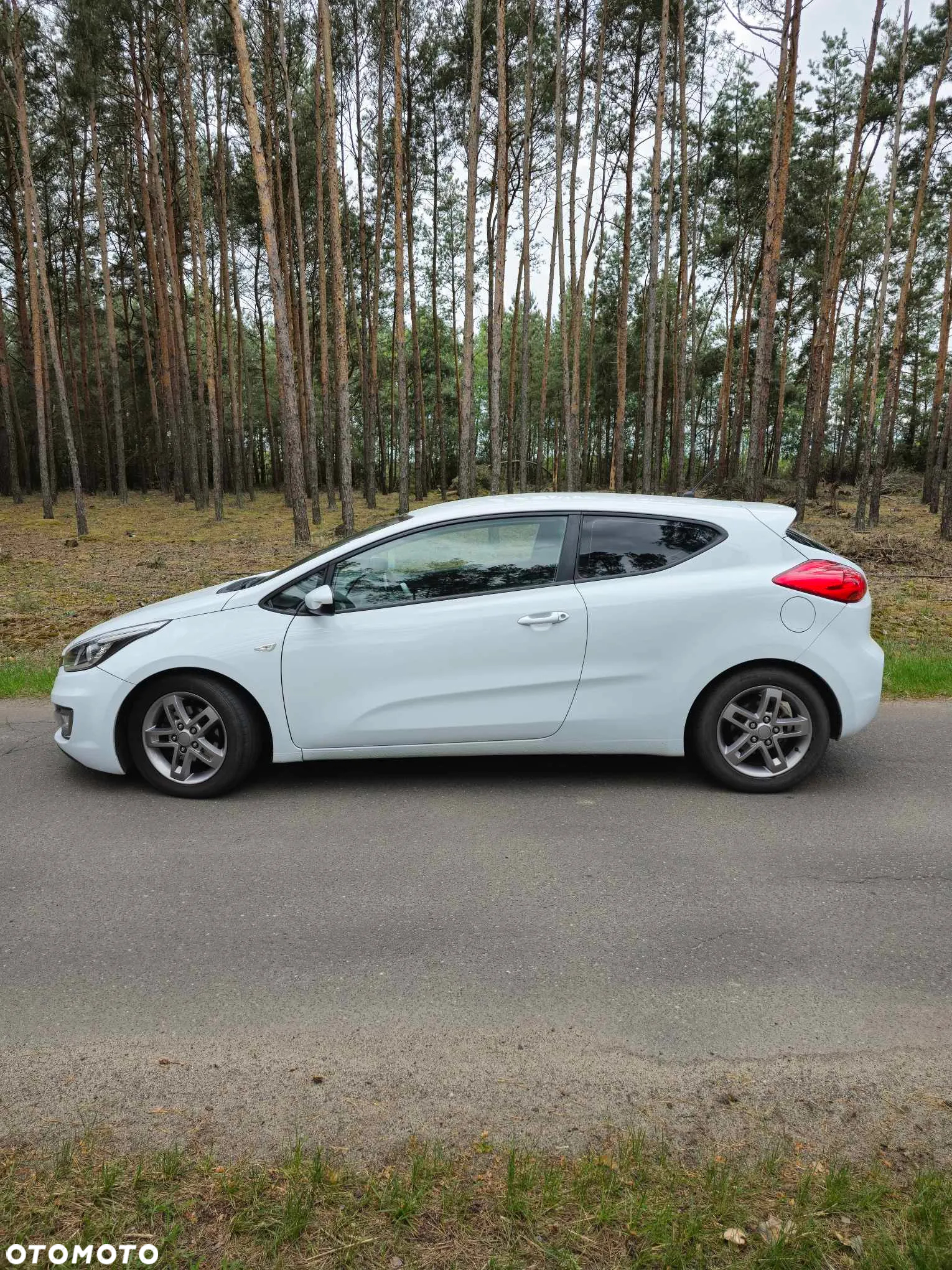 Kia ProCeed Pro_cee'd 1.6 crdi M - 5