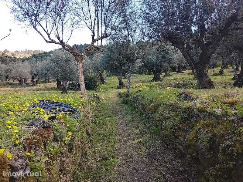 Terreno para construção - Grande imagem: 5/8