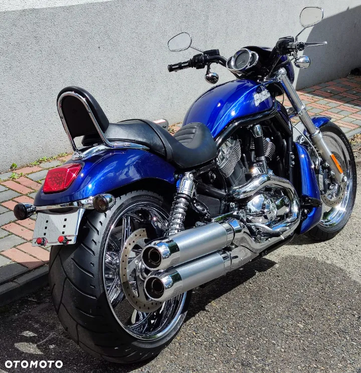 Harley-Davidson Softail V-Rod - 8