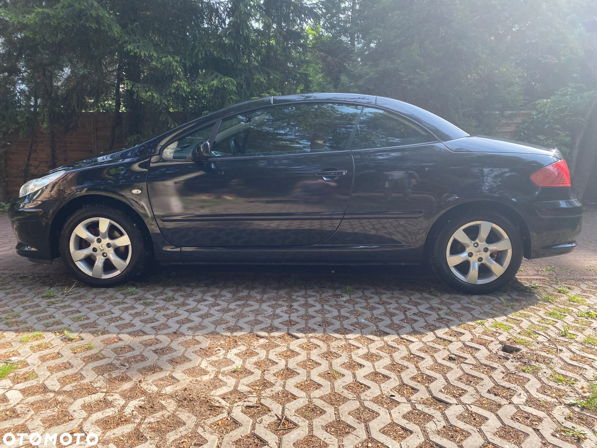 Peugeot 307 CC 2.0 Intense - 5