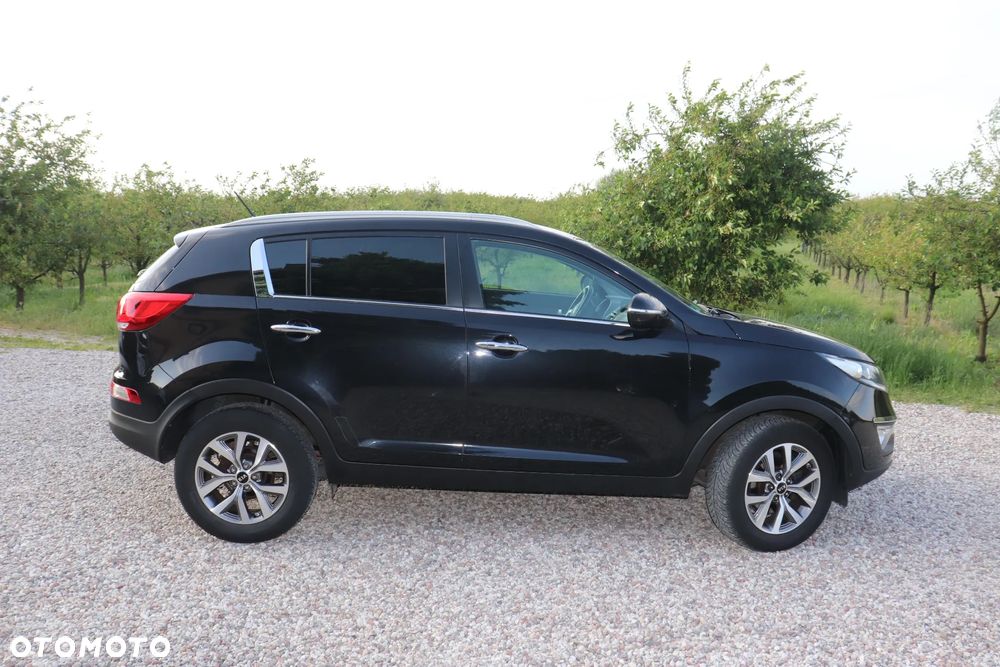 Kia Sportage 1.6 GDI Business Line L 2WD - 16