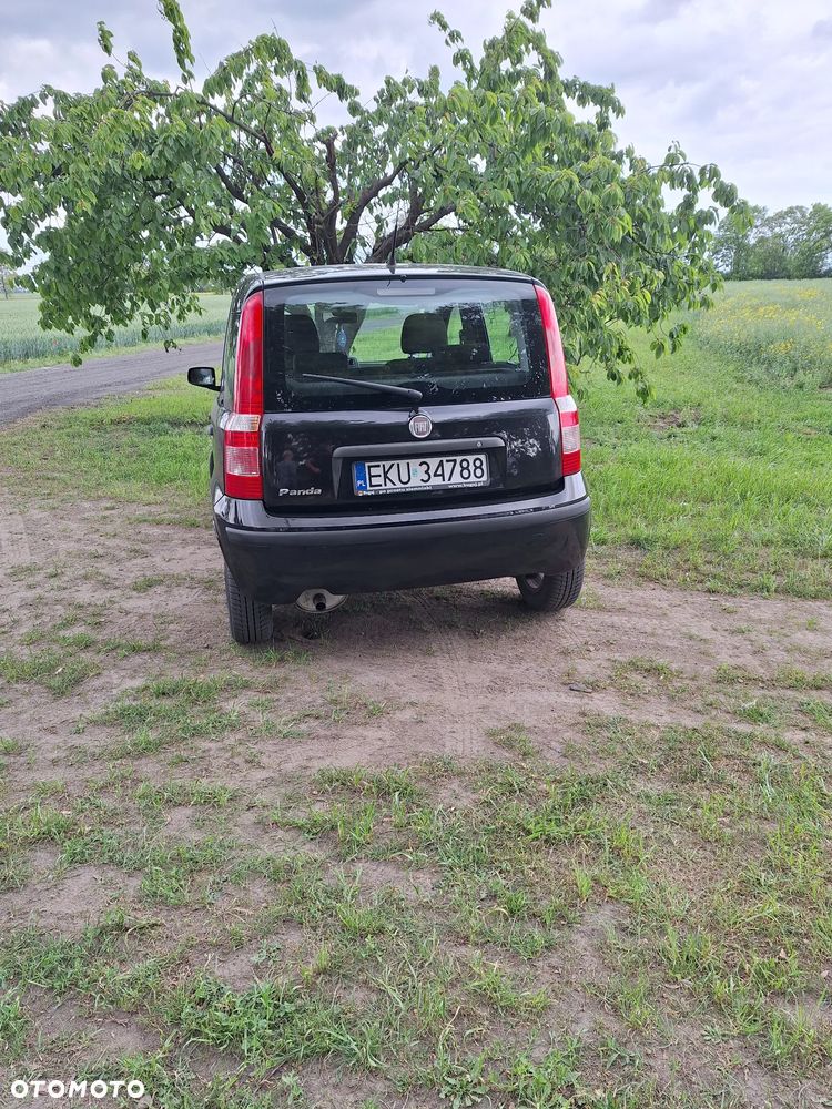 Fiat Panda - 3