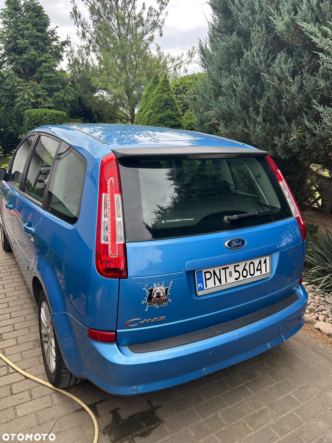 Ford Focus C-Max 1.8 Ghia - 2