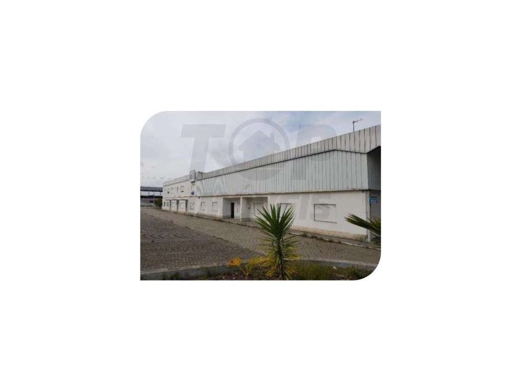 Edifício Industrial - Muge - 1.350.000€ - Grande imagem: 4/20