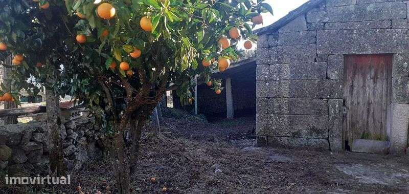 Terreno rural com casa antiga - Grande imagem: 2/11