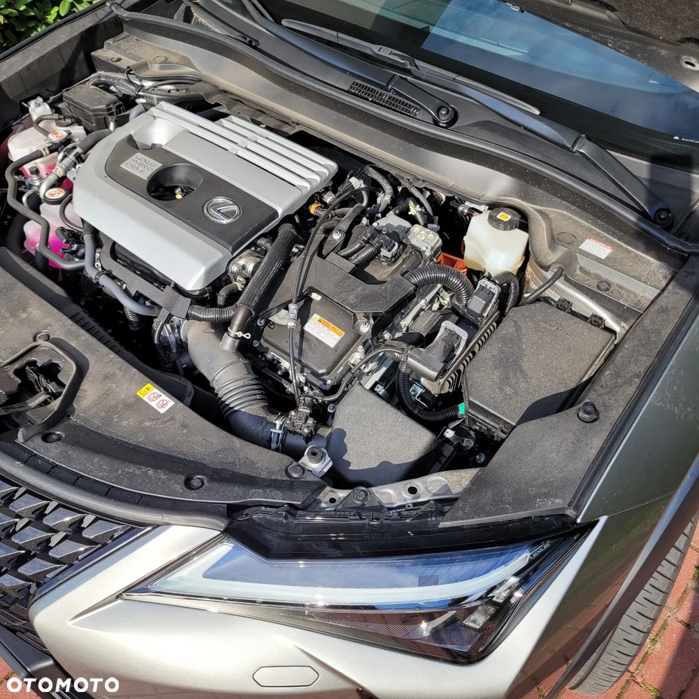 Lexus UX 250h GPF F Impression 2WD - 7