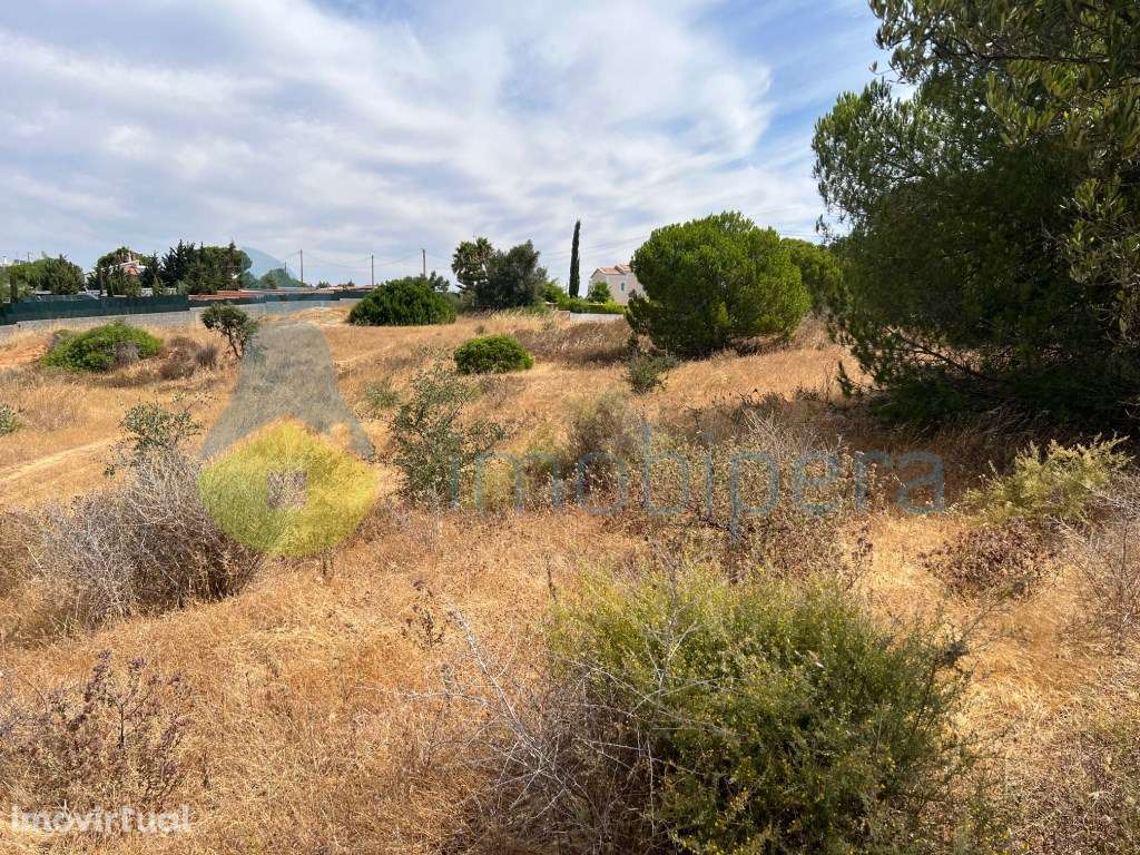 TERRENO AMPLO COM POÇO-BOAS VISTAS E PINHEIROS A 4KM DA PRAIA - Grande imagem: 2/35