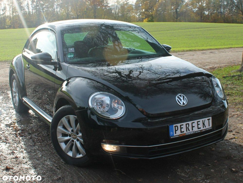 Volkswagen Beetle - 11