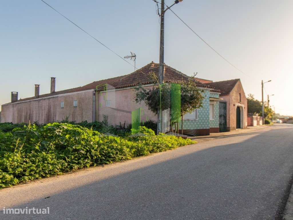 Lote de Terreno - Marvão, Cantanhede - Grande imagem: 2/13