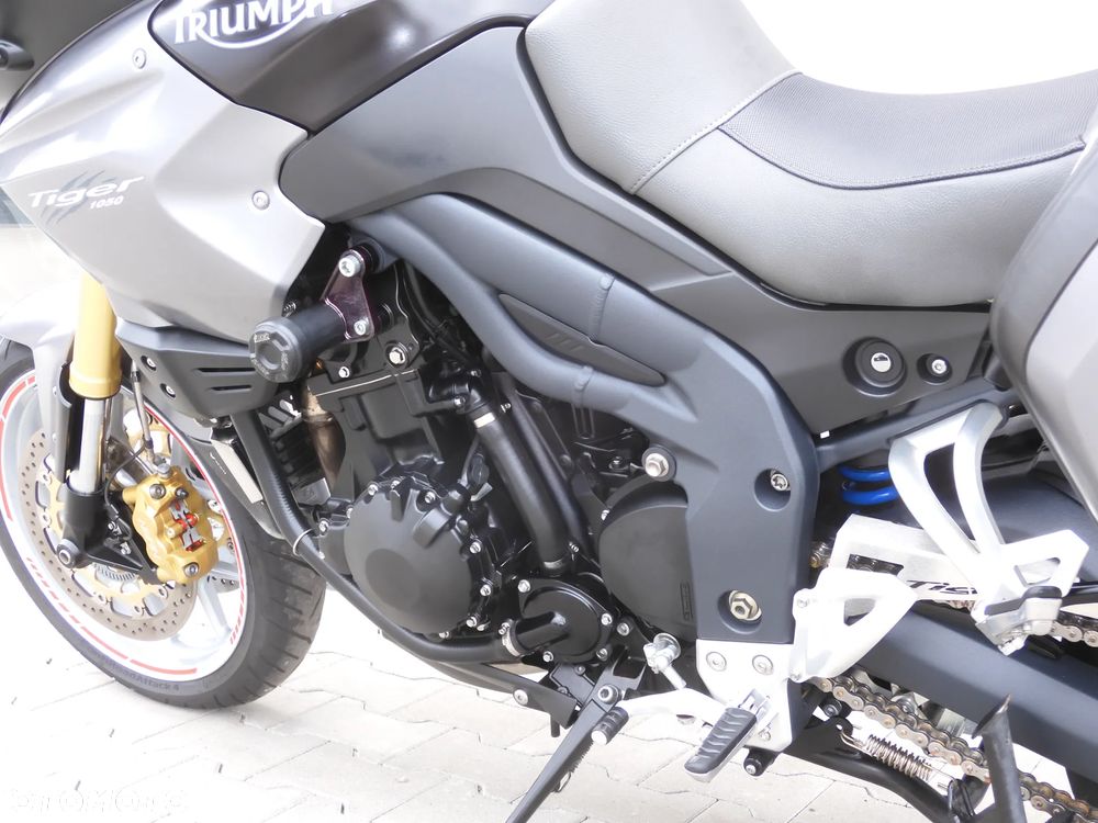 Triumph Tiger - 31