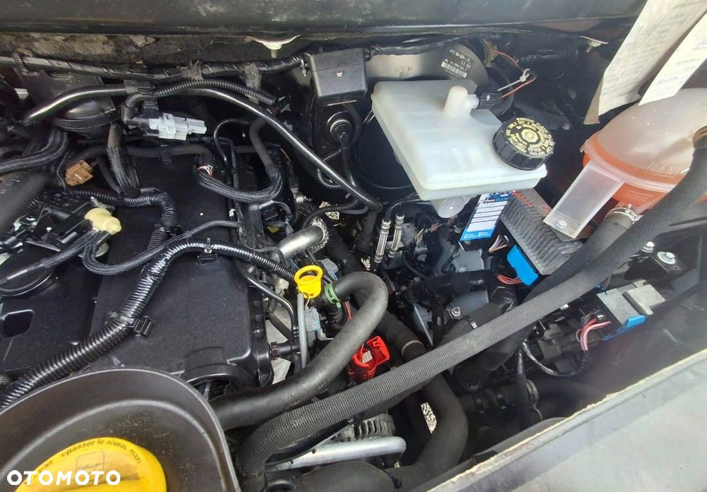 Renault Master - 37