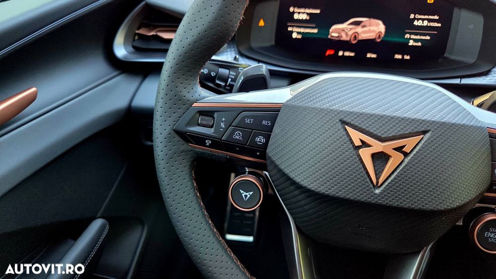 Cupra Terramar - 15