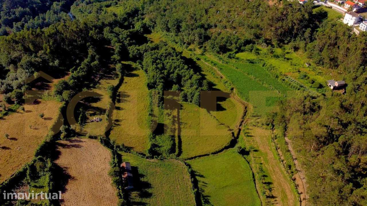 Conjunto de 2 Terrenos Agrícolas – 7.200 m² - Grande imagem: 4/6