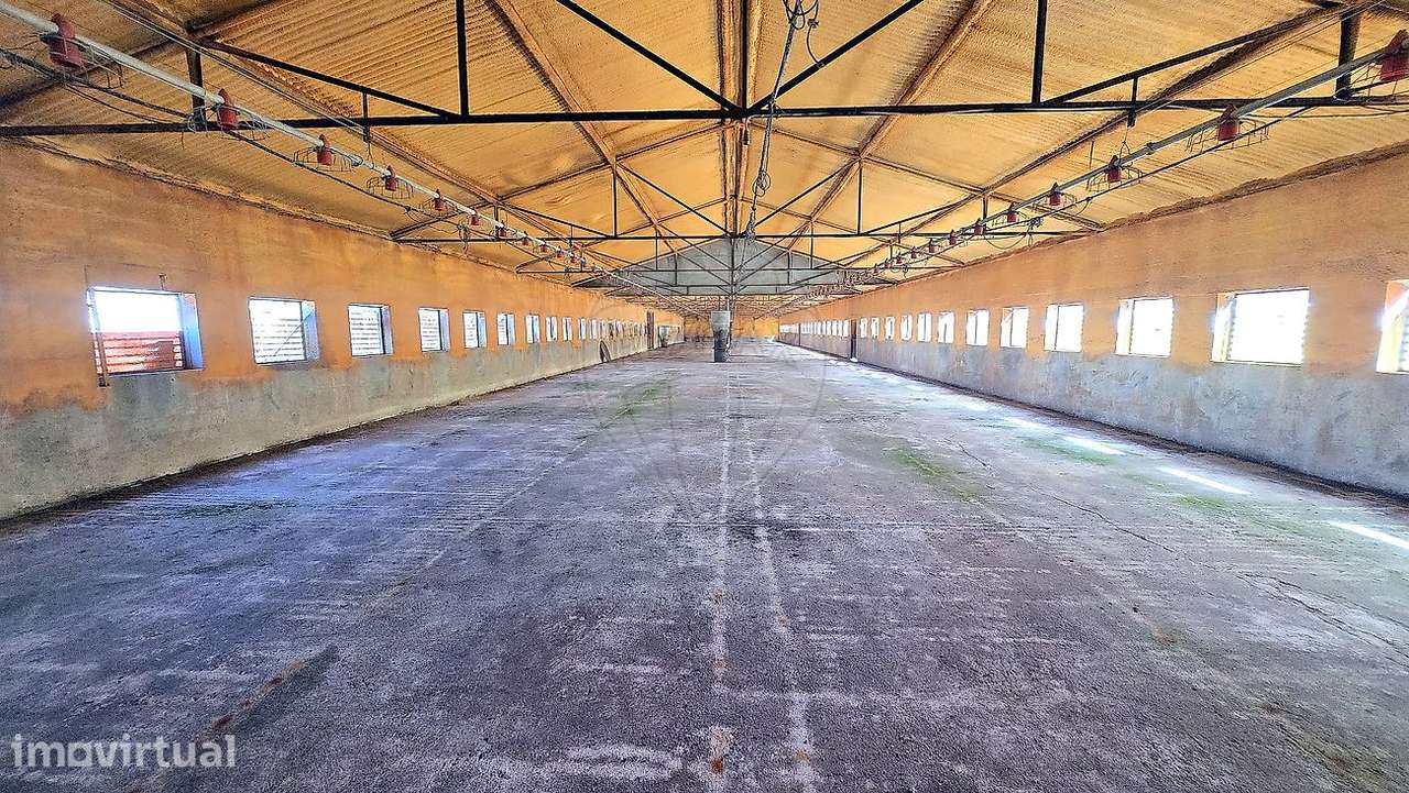Armazém  para venda - Grande imagem: 3/16