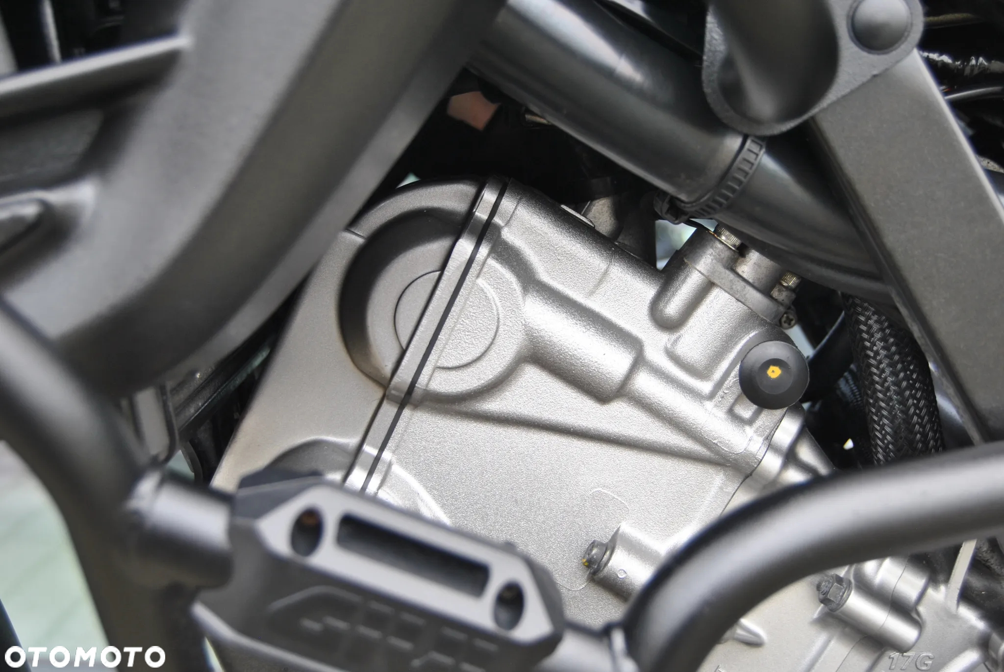 Suzuki DL - 20