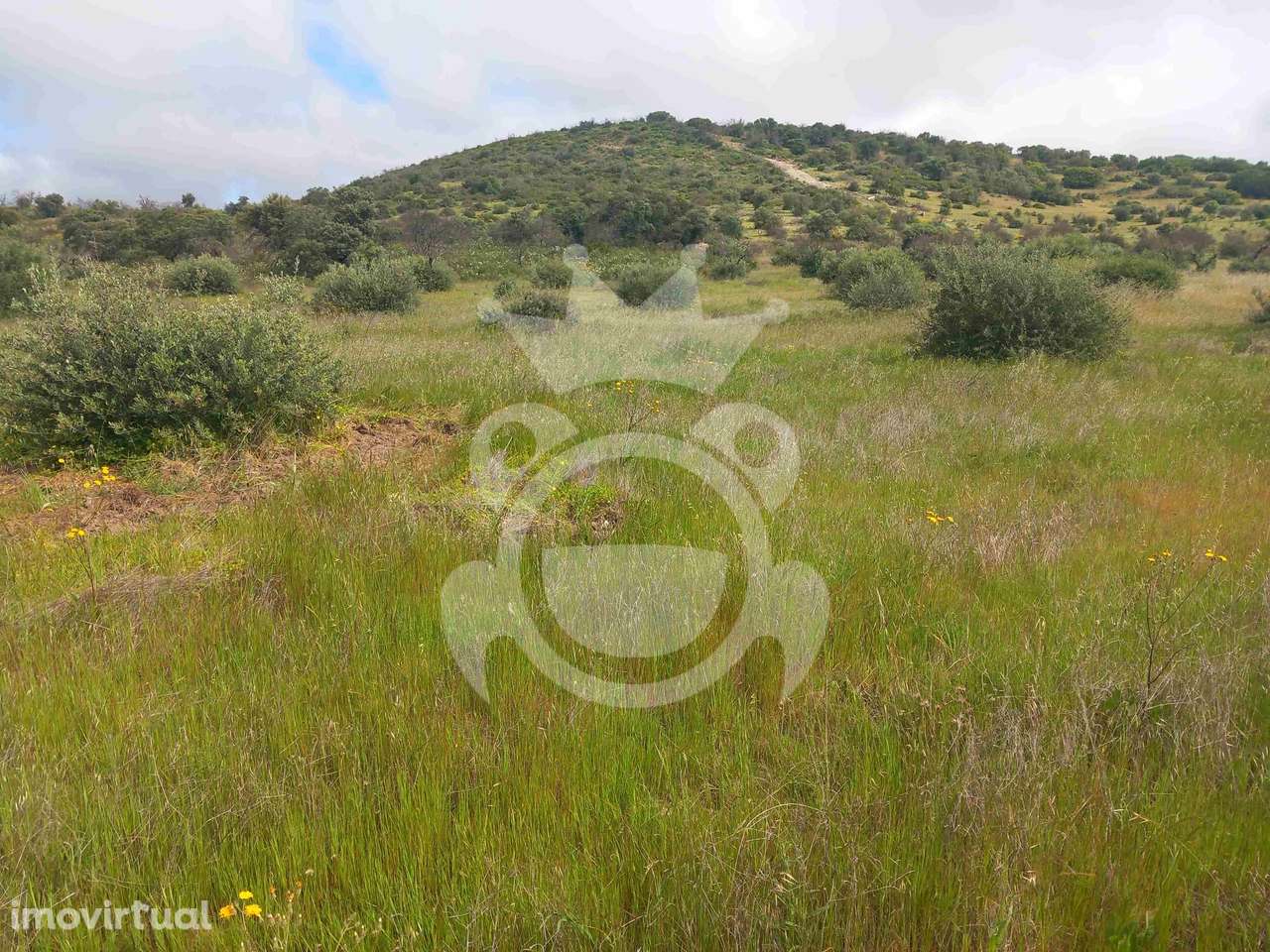 Terreno Rústico com ruína - 3Ha - Grande imagem: 2/14