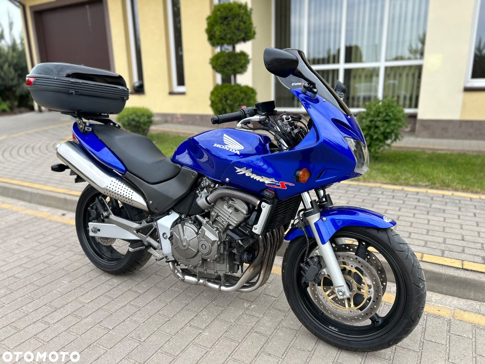 Honda Hornet - 3