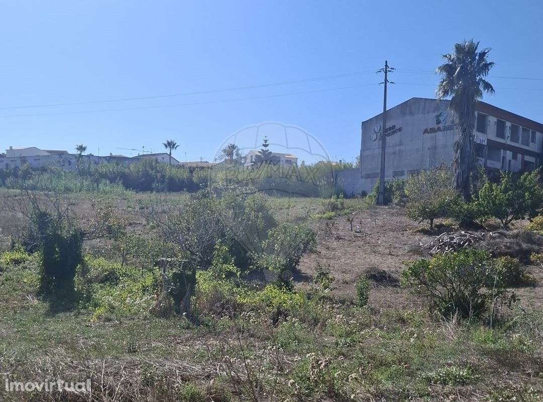 Armazém  para venda - Grande imagem: 2/7