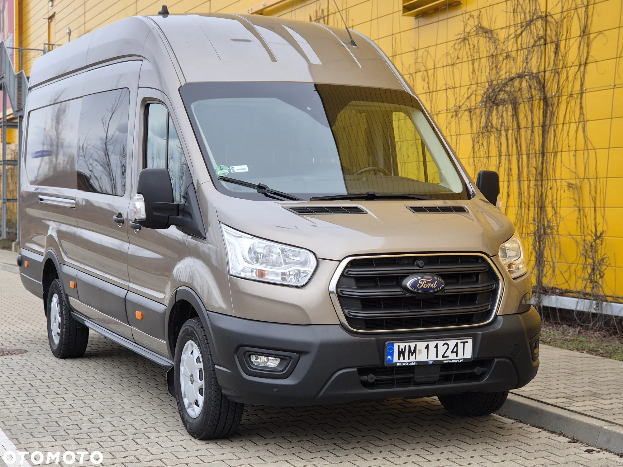 Ford Transit - 3