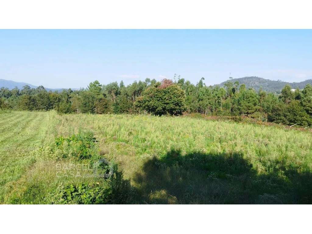 OPORTUNIDADE ÚNICA EM ABORIM, BARCELOS: O TEU REFÚGIO DE 6.000m² - Grande imagem: 5/18