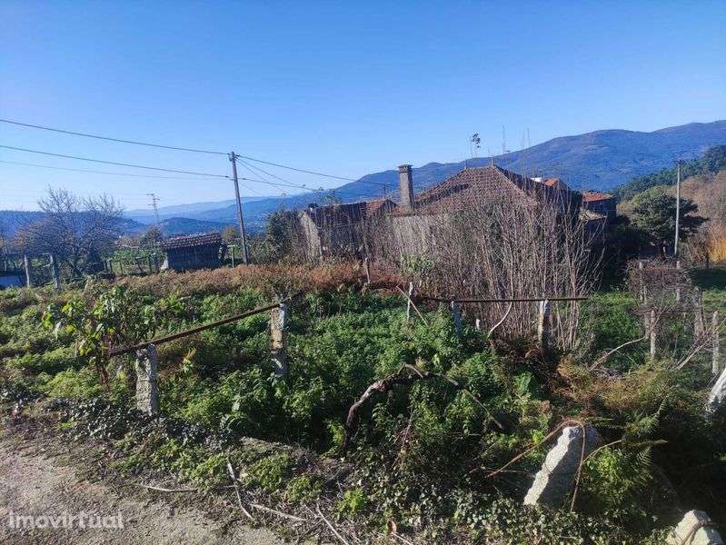 Moradia Rústica em ruína + terreno rústico - Grande imagem: 5/8