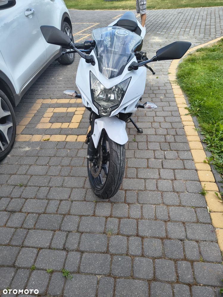 Kawasaki Ninja 250R - 2