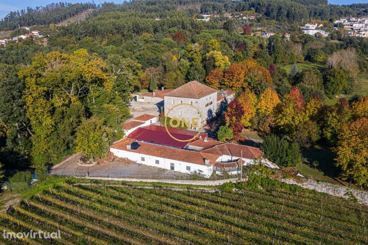 Quinta de 1594 - Grande imagem: 5/44
