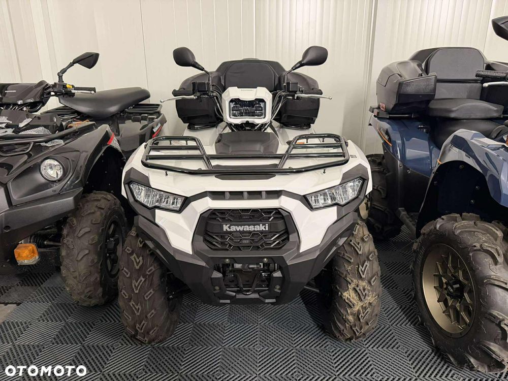 Kawasaki Brute Force - 2