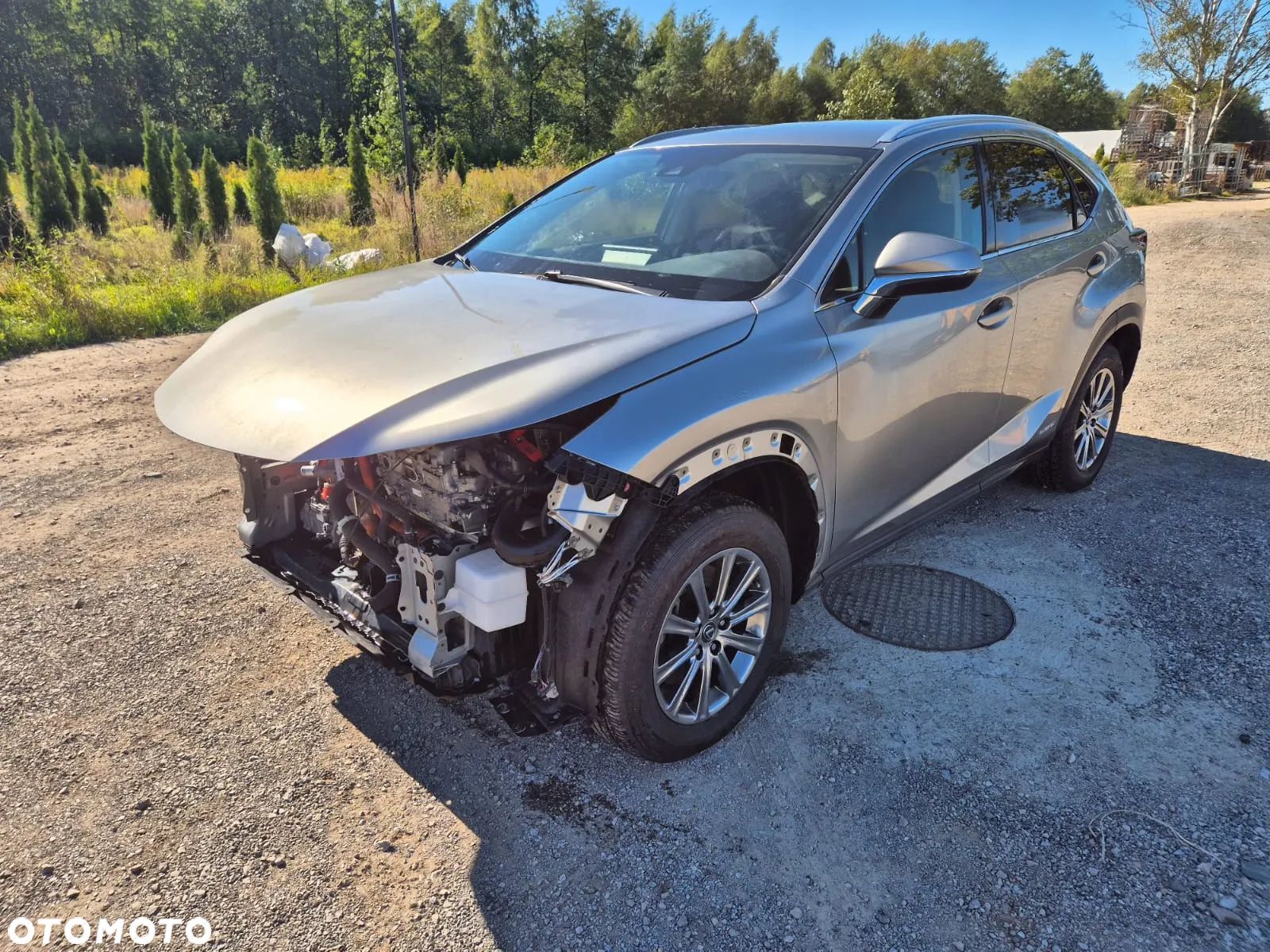 Lexus NX 300h - 1