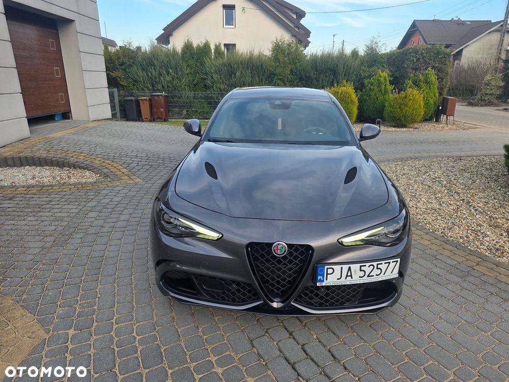 Alfa Romeo Giulia 2.9 V6 Bi-Turbo AT8 Quadrifoglio - 5