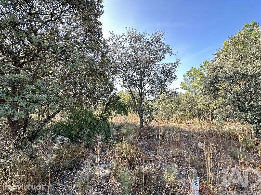 Terreno em Açores e Velosa de 49492,00 m2 - Grande imagem: 5/10