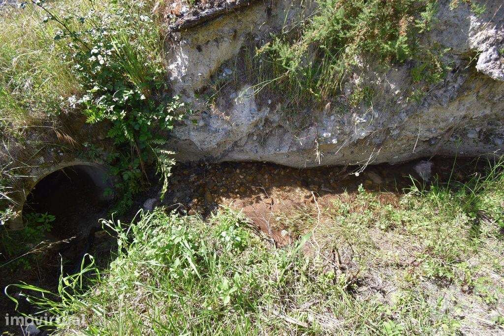 Terreno Agrícola em São Miguel, Santa Eufémia e Rabaçal - Grande imagem: 3/24