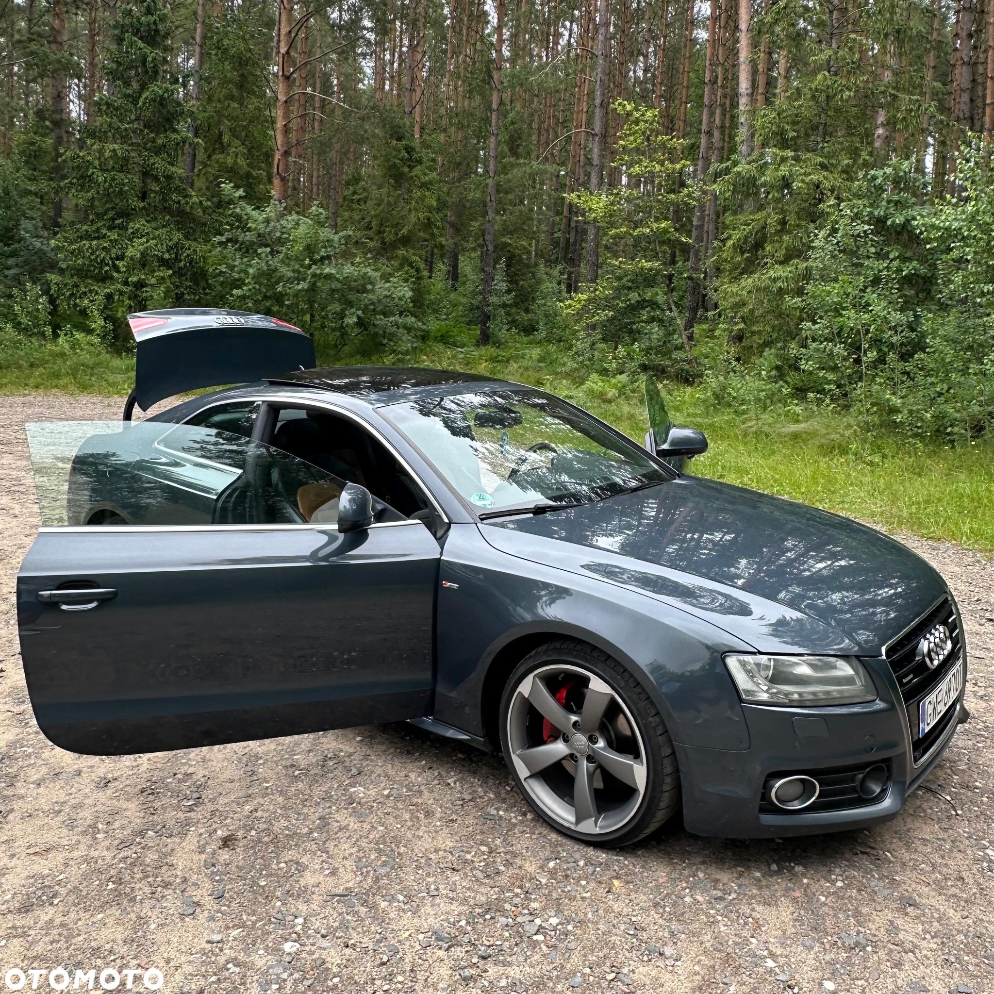 Audi A5 3.0 TDI Quattro Tiptr - 11